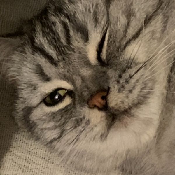 しろこ